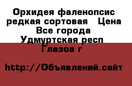 Орхидея фаленопсис редкая сортовая › Цена ­ 800 - Все города  »    . Удмуртская респ.,Глазов г.